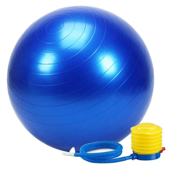 Physio exercise ball price || Anti Burst 95 cm with Foot Pump Gym ball price in india